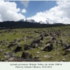 agriades pyrenaicus ararat biotope